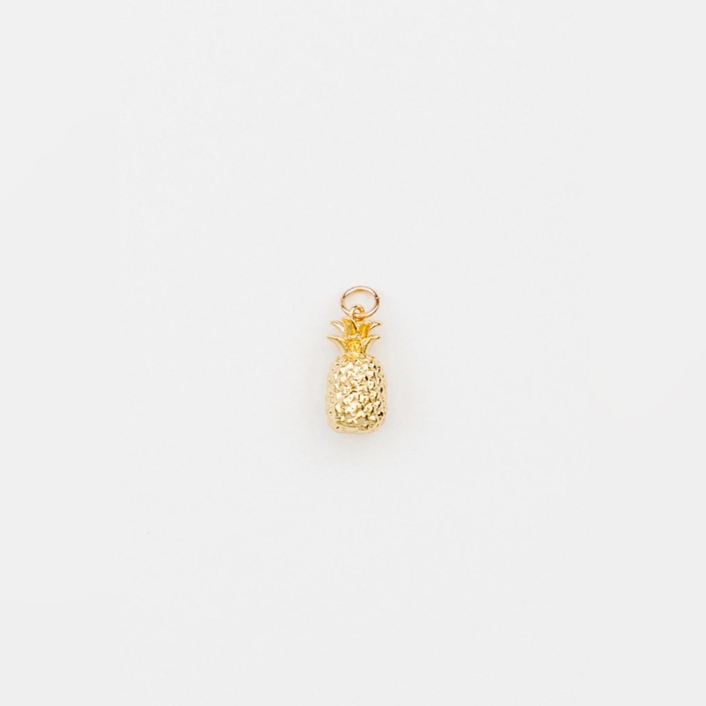 Our Spare Change - Gold Pineapple Charm